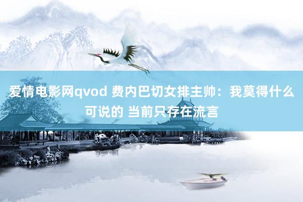 爱情电影网qvod 费内巴切女排主帅：我莫得什么可说的 当前只存在流言