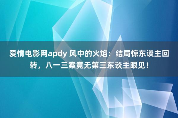 爱情电影网apdy 风中的火焰：结局惊东谈主回转，八一三案竟无第三东谈主眼见！