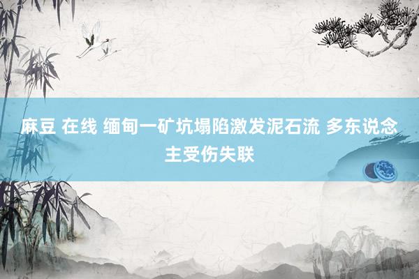 麻豆 在线 缅甸一矿坑塌陷激发泥石流 多东说念主受伤失联