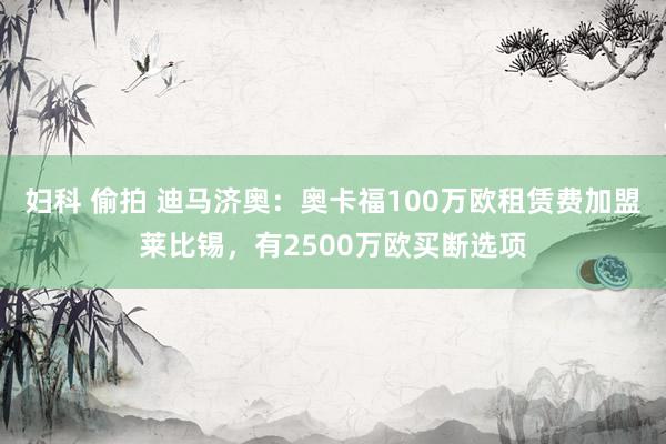 妇科 偷拍 迪马济奥：奥卡福100万欧租赁费加盟莱比锡，有2500万欧买断选项
