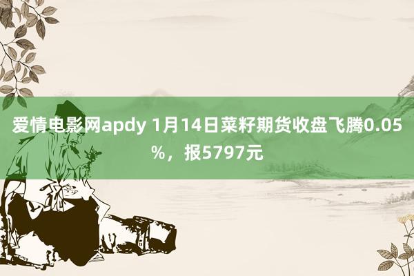 爱情电影网apdy 1月14日菜籽期货收盘飞腾0.05%，报5797元