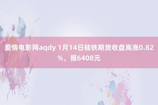 爱情电影网aqdy 1月14日硅铁期货收盘高涨0.82%，报6408元