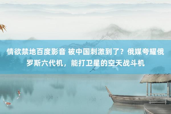 情欲禁地百度影音 被中国刺激到了？俄媒夸耀俄罗斯六代机，能打卫星的空天战斗机