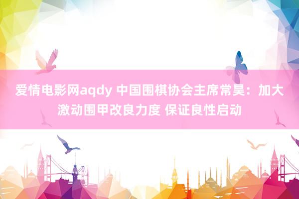 爱情电影网aqdy 中国围棋协会主席常昊：加大激动围甲改良力度 保证良性启动