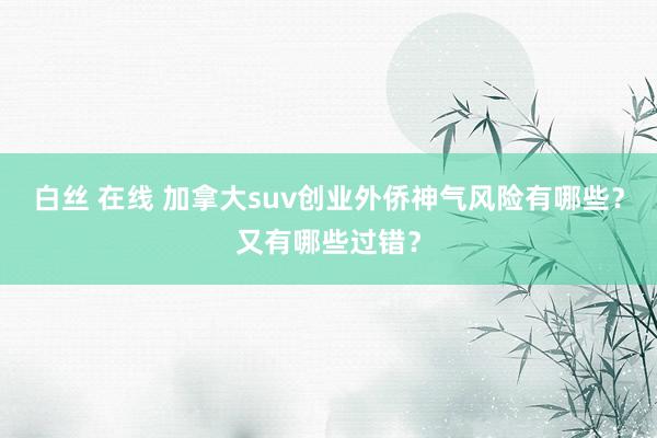 白丝 在线 加拿大suv创业外侨神气风险有哪些？又有哪些过错？