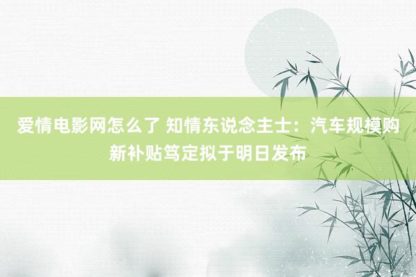 爱情电影网怎么了 知情东说念主士：汽车规模购新补贴笃定拟于明日发布