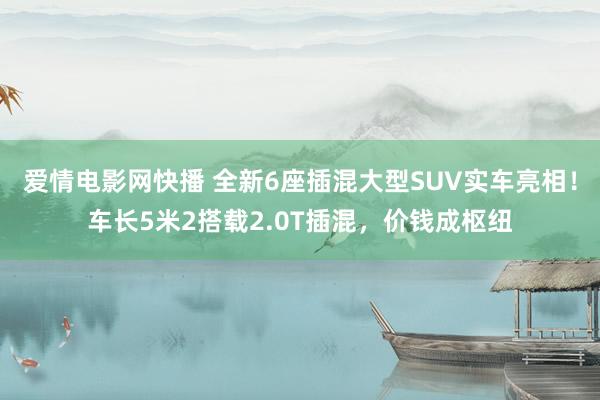 爱情电影网快播 全新6座插混大型SUV实车亮相！车长5米2搭载2.0T插混，价钱成枢纽