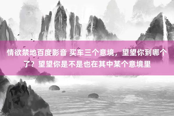 情欲禁地百度影音 买车三个意境，望望你到哪个了？望望你是不是也在其中某个意境里