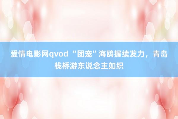 爱情电影网qvod “团宠”海鸥握续发力，青岛栈桥游东说念主如织