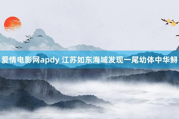 爱情电影网apdy 江苏如东海域发现一尾幼体中华鲟