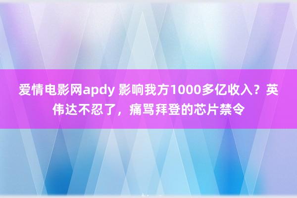 爱情电影网apdy 影响我方1000多亿收入？英伟达不忍了，痛骂拜登的芯片禁令