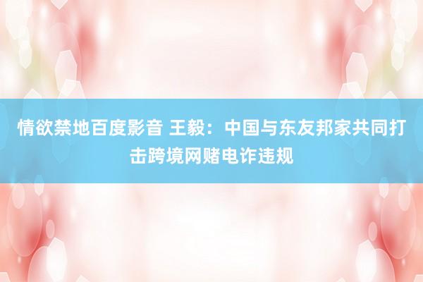 情欲禁地百度影音 王毅：中国与东友邦家共同打击跨境网赌电诈违规