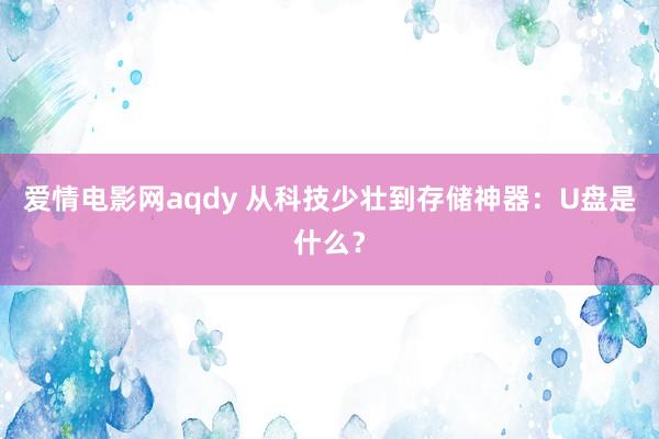爱情电影网aqdy 从科技少壮到存储神器：U盘是什么？