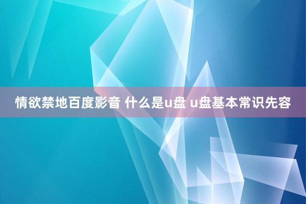 情欲禁地百度影音 什么是u盘 u盘基本常识先容
