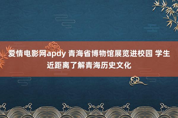 爱情电影网apdy 青海省博物馆展览进校园 学生近距离了解青海历史文化