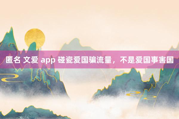 匿名 文爱 app 碰瓷爱国骗流量，不是爱国事害国
