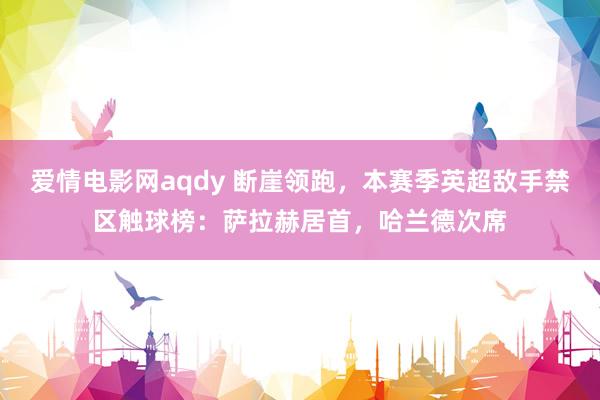 爱情电影网aqdy 断崖领跑，本赛季英超敌手禁区触球榜：萨拉赫居首，哈兰德次席