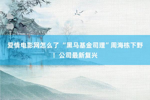 爱情电影网怎么了 “黑马基金司理”周海栋下野！公司最新复兴