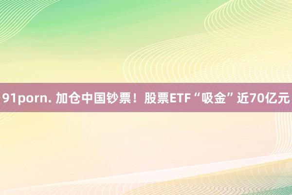 91porn. 加仓中国钞票！股票ETF“吸金”近70亿元