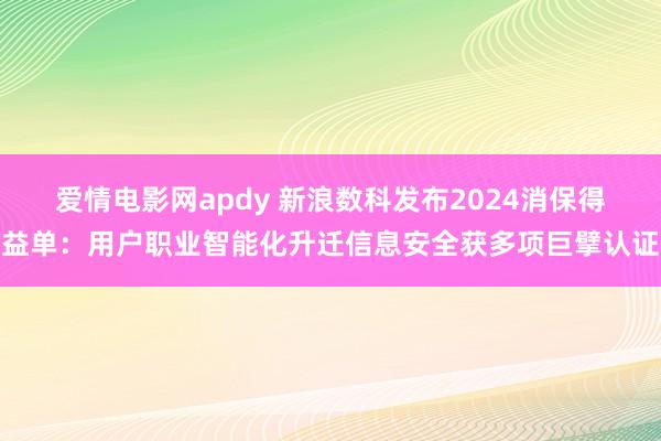 爱情电影网apdy 新浪数科发布2024消保得益单：用户职业智能化升迁信息安全获多项巨擘认证