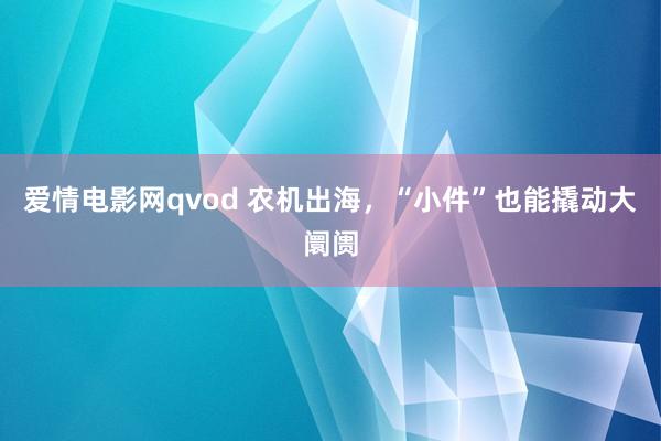 爱情电影网qvod 农机出海，“小件”也能撬动大阛阓