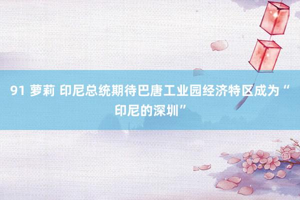 91 萝莉 印尼总统期待巴唐工业园经济特区成为“印尼的深圳”