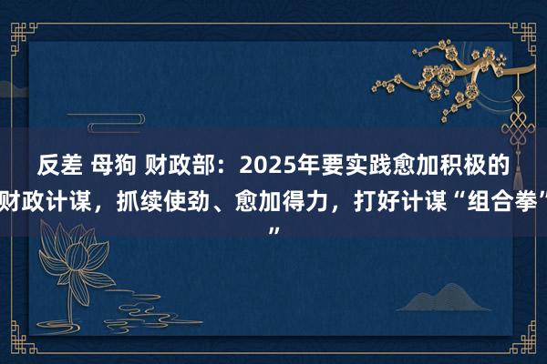 反差 母狗 财政部：2025年要实践愈加积极的财政计谋，抓续使劲、愈加得力，打好计谋“组合拳”