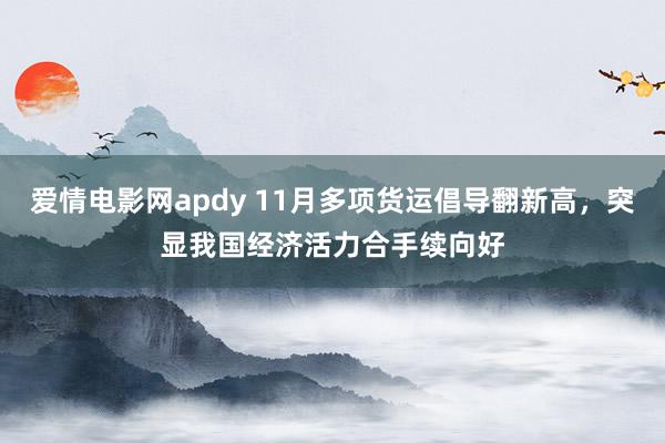 爱情电影网apdy 11月多项货运倡导翻新高，突显我国经济活力合手续向好