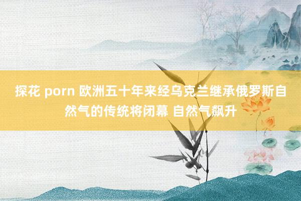 探花 porn 欧洲五十年来经乌克兰继承俄罗斯自然气的传统将闭幕 自然气飙升