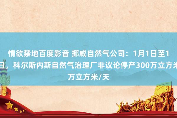 情欲禁地百度影音 挪威自然气公司：1月1日至1月2日，科尔斯内斯自然气治理厂非议论停产300万立方米/天