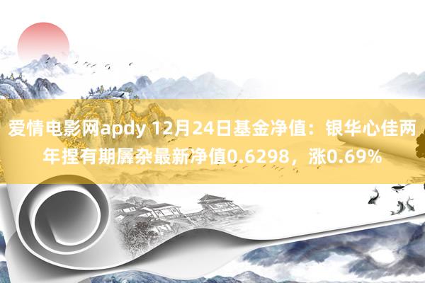 爱情电影网apdy 12月24日基金净值：银华心佳两年捏有期羼杂最新净值0.6298，涨0.69%