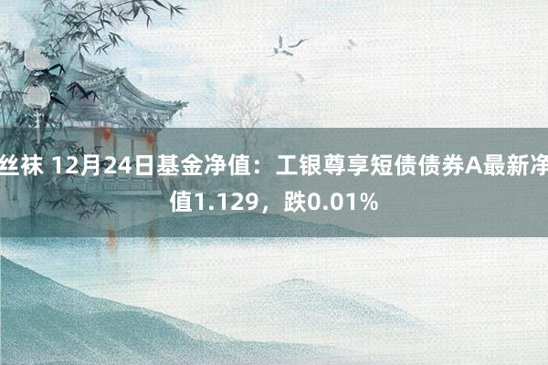 丝袜 12月24日基金净值：工银尊享短债债券A最新净值1.129，跌0.01%