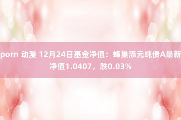 porn 动漫 12月24日基金净值：蜂巢添元纯债A最新净值1.0407，跌0.03%