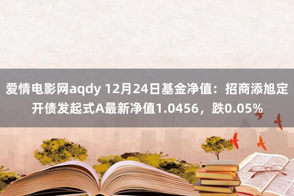 爱情电影网aqdy 12月24日基金净值：招商添旭定开债发起式A最新净值1.0456，跌0.05%