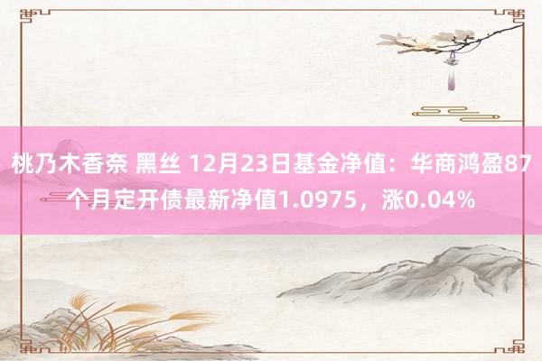 桃乃木香奈 黑丝 12月23日基金净值：华商鸿盈87个月定开债最新净值1.0975，涨0.04%