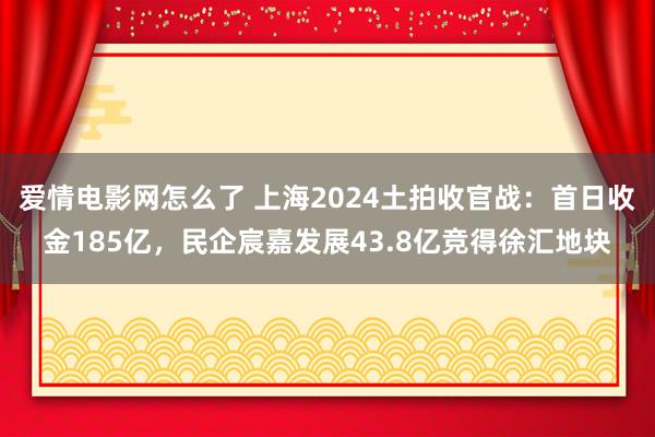 爱情电影网怎么了 上海2024土拍收官战：首日收金185亿，民企宸嘉发展43.8亿竞得徐汇地块