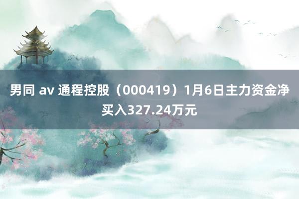 男同 av 通程控股（000419）1月6日主力资金净买入327.24万元
