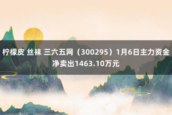 柠檬皮 丝袜 三六五网（300295）1月6日主力资金净卖出1463.10万元