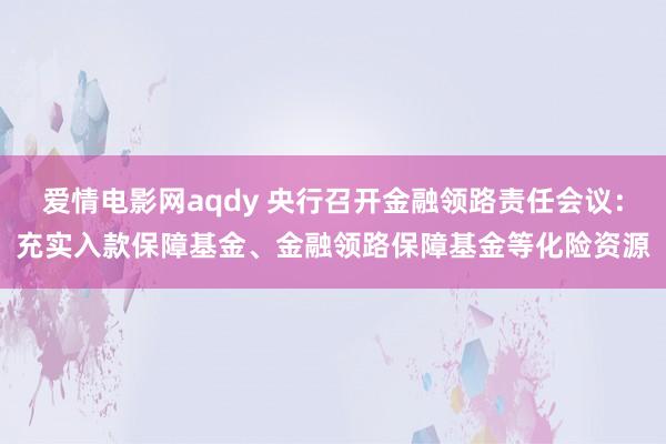 爱情电影网aqdy 央行召开金融领路责任会议：充实入款保障基金、金融领路保障基金等化险资源