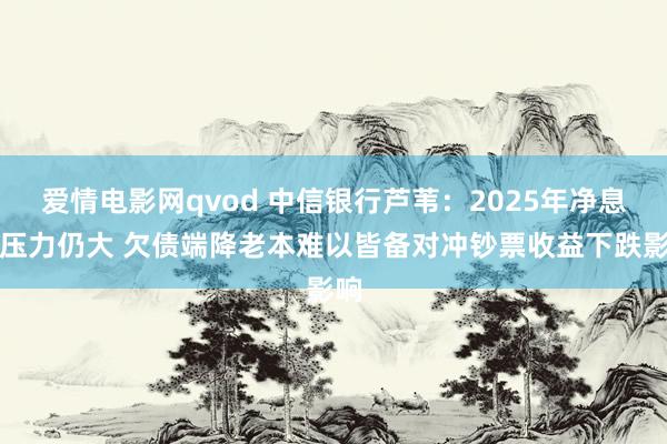 爱情电影网qvod 中信银行芦苇：2025年净息差压力仍大 欠债端降老本难以皆备对冲钞票收益下跌影响