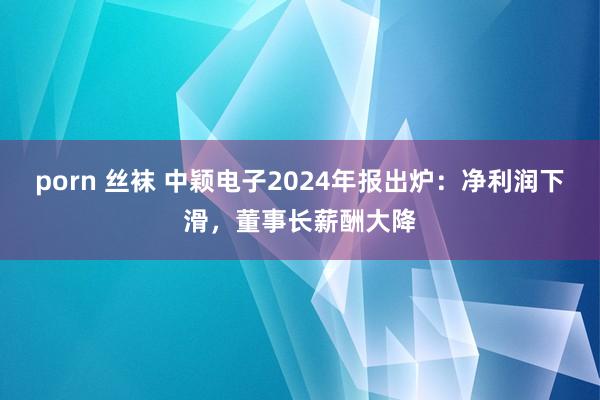 porn 丝袜 中颖电子2024年报出炉：净利润下滑，董事长薪酬大降