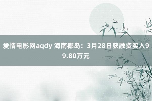 爱情电影网aqdy 海南椰岛：3月28日获融资买入99.80万元