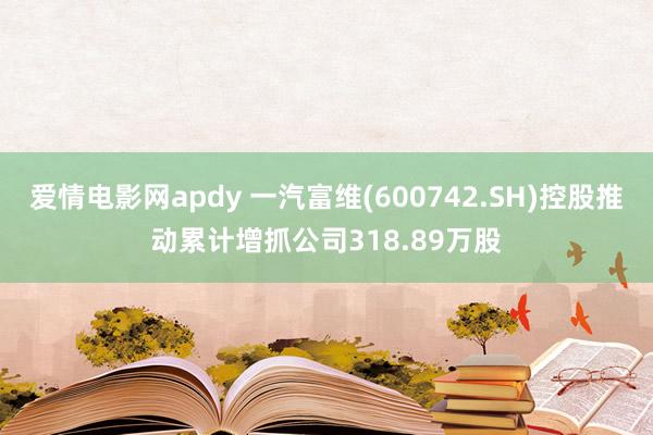 爱情电影网apdy 一汽富维(600742.SH)控股推动累计增抓公司318.89万股