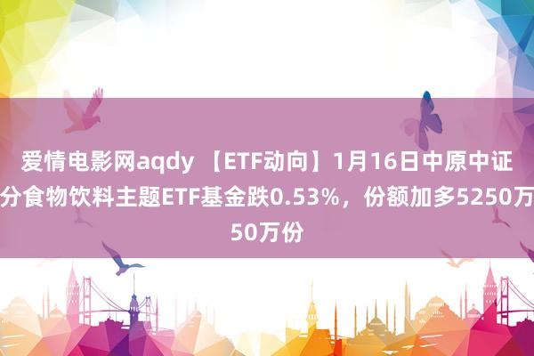 爱情电影网aqdy 【ETF动向】1月16日中原中证细分食物饮料主题ETF基金跌0.53%，份额加多5250万份