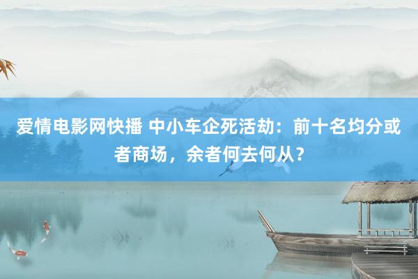 爱情电影网快播 中小车企死活劫：前十名均分或者商场，余者何去何从？