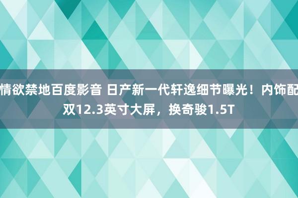情欲禁地百度影音 日产新一代轩逸细节曝光！内饰配双12.3英寸大屏，换奇骏1.5T