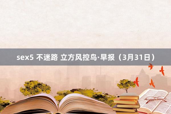 sex5 不迷路 立方风控鸟·早报（3月31日）