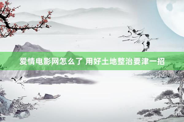 爱情电影网怎么了 用好土地整治要津一招