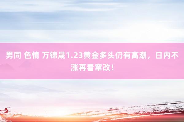 男同 色情 万锦晟1.23黄金多头仍有高潮，日内不涨再看窜改！