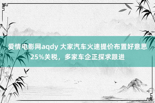 爱情电影网aqdy 大家汽车火速提价布置好意思25%关税，多家车企正探求跟进